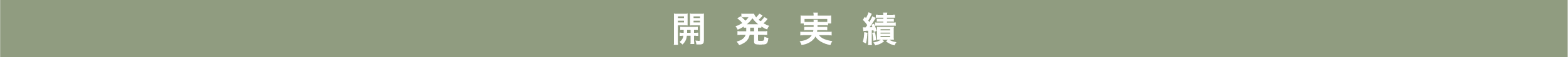 開発実績
