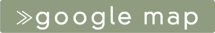 googlemap